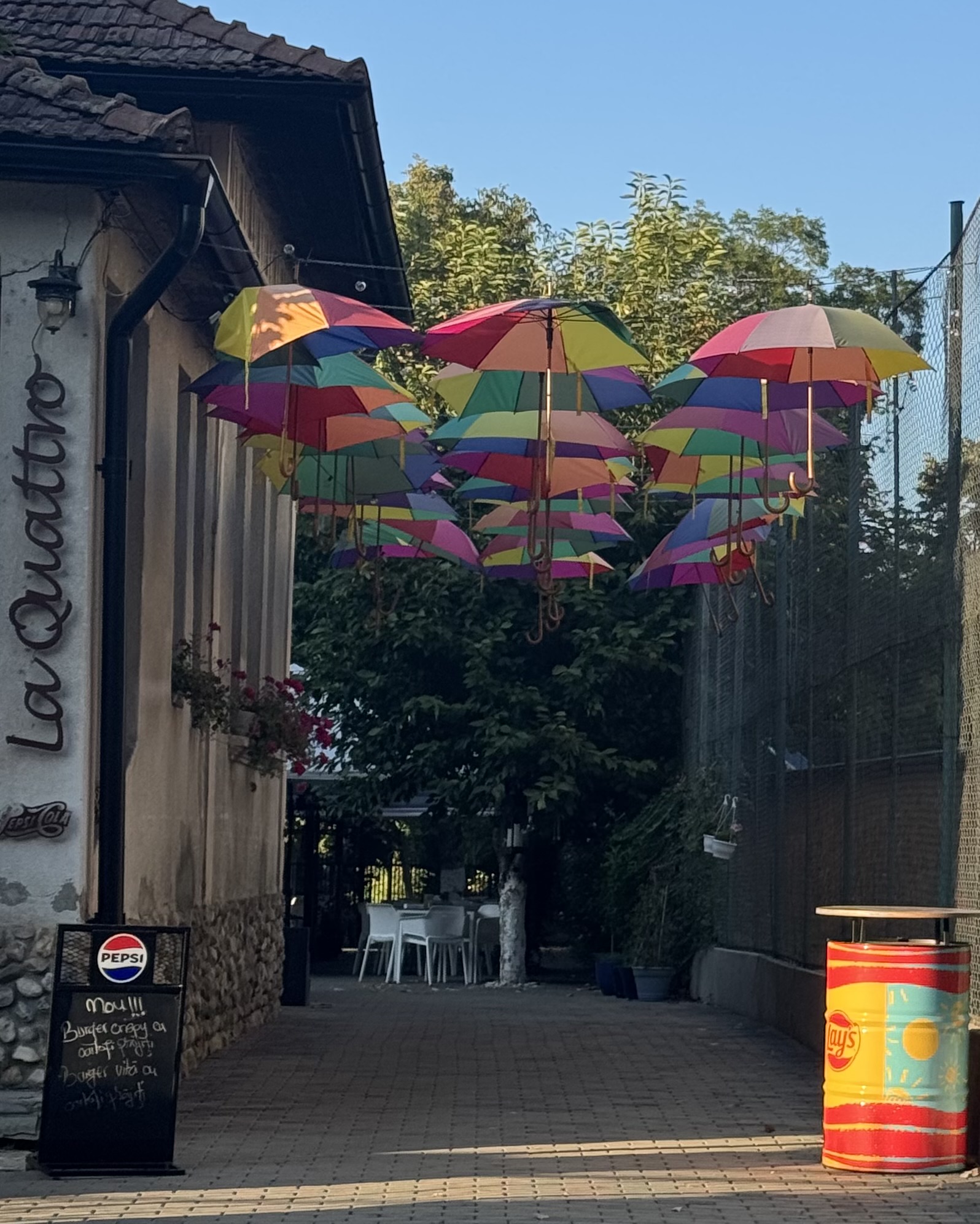 Geen regen ☔️ maar zonneschijn 🌞 